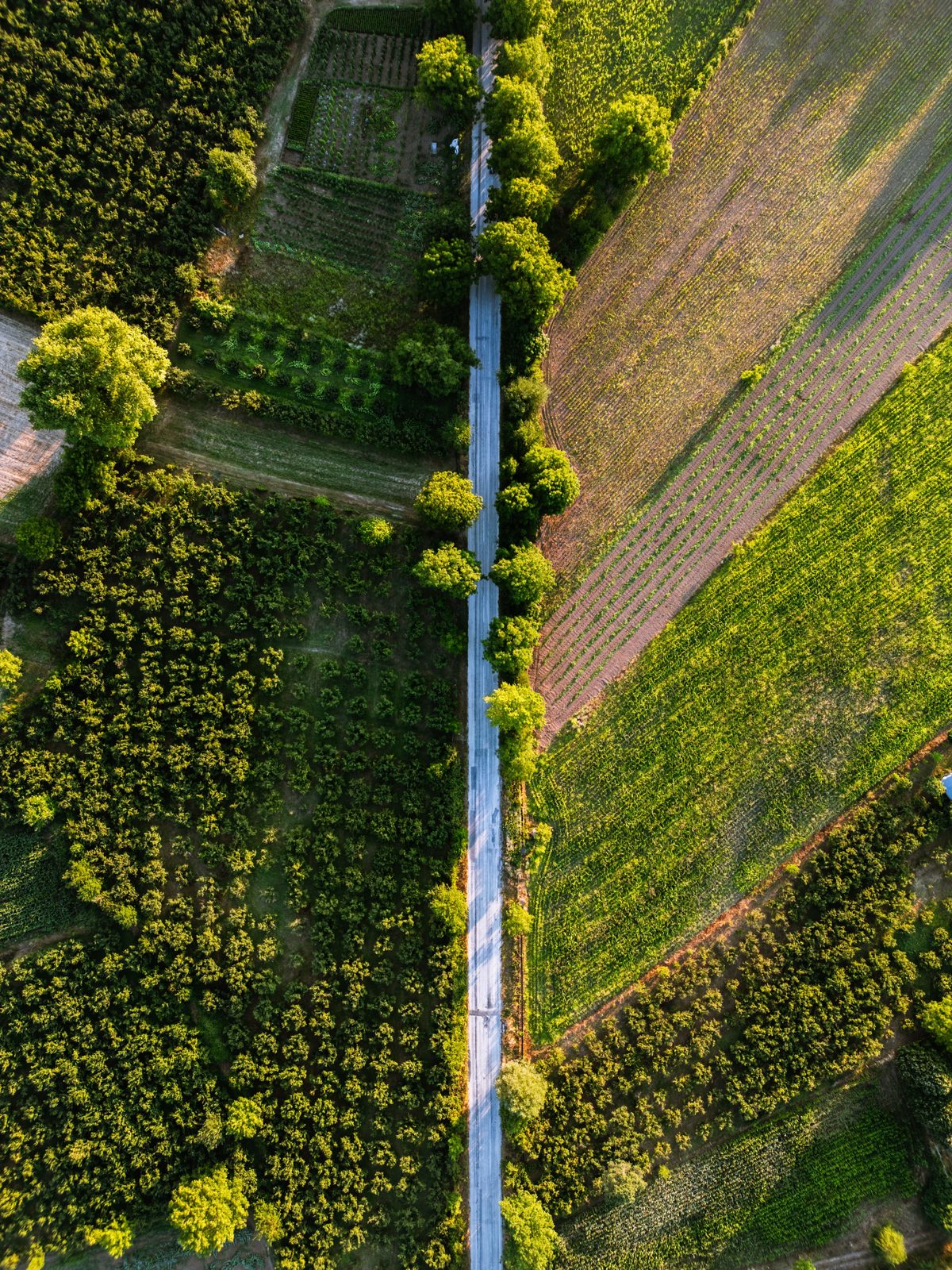 Infraestructura agropecuaria