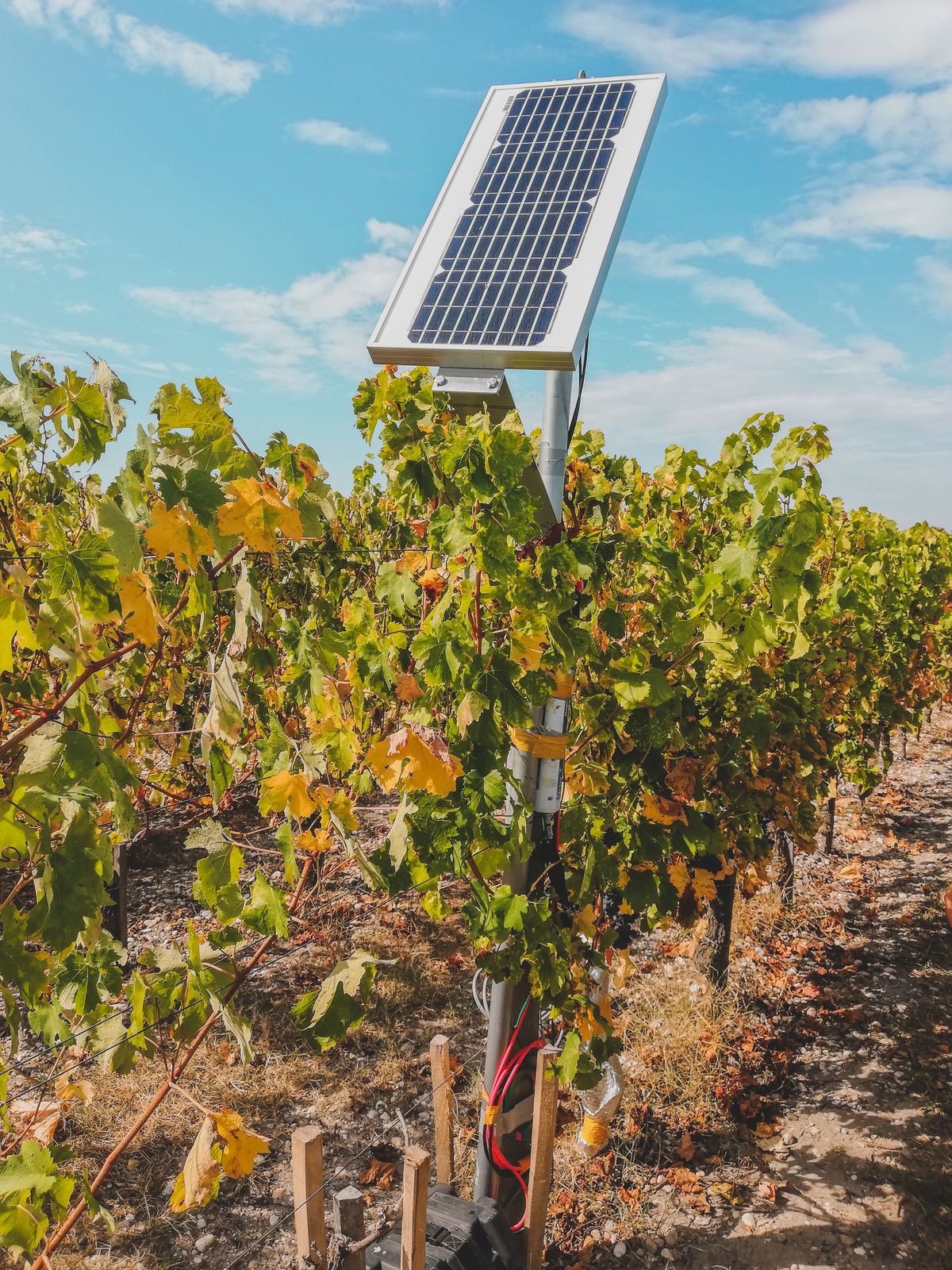 Panel solar en campo agrícola